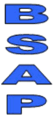 Business Systems Asia-Pacific